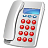 phone icon